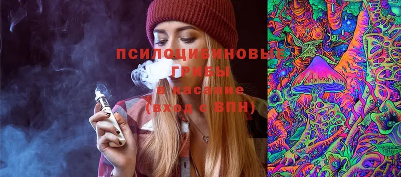 Галлюциногенные грибы Cubensis Давлеканово